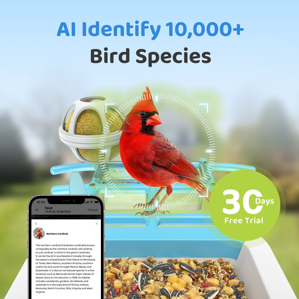 WIFI Bird Feeder Camera(BF63)