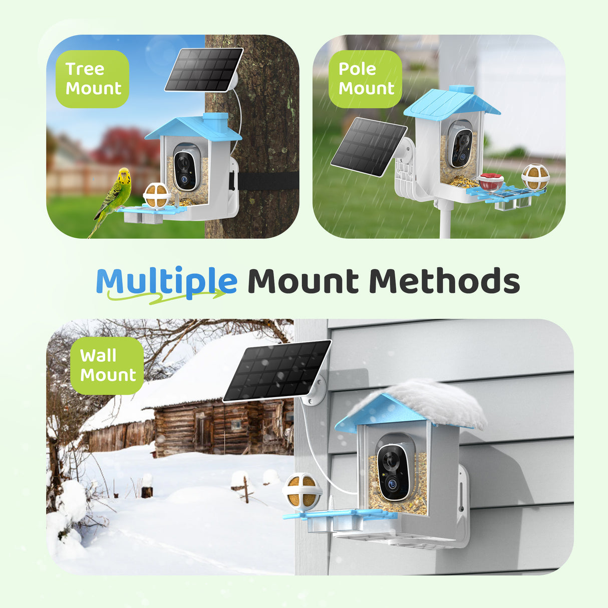 WIFI Bird Feeder Camera(BF63)