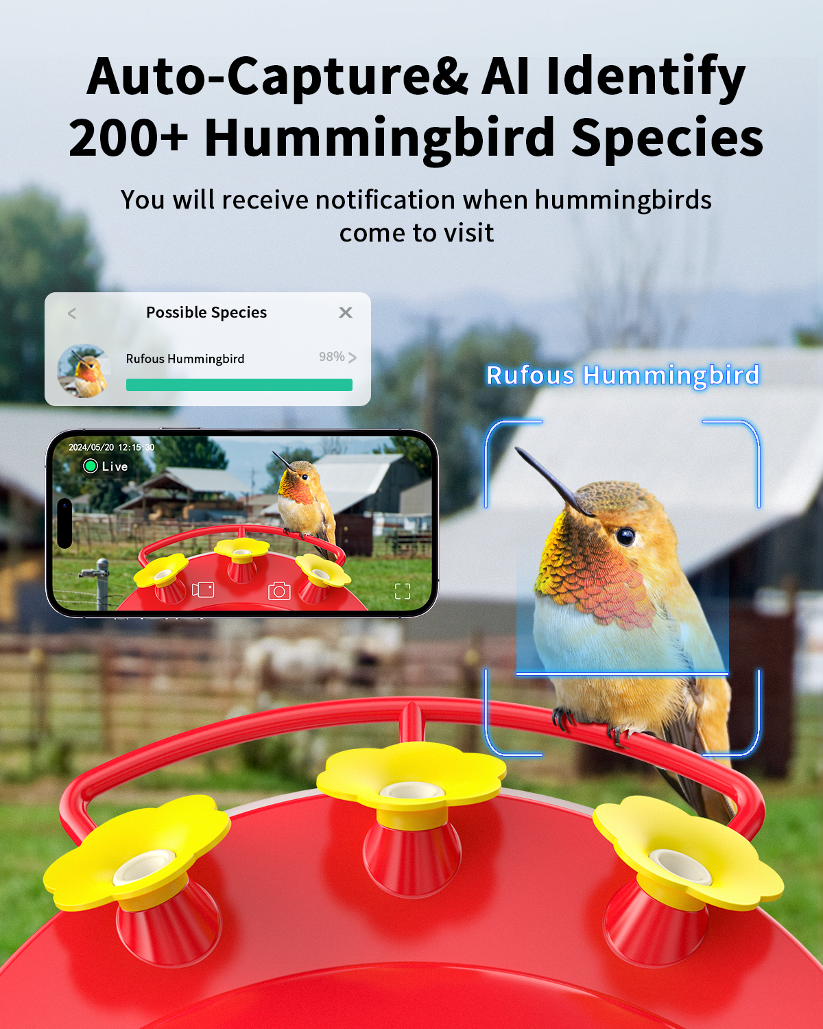 WIFI Hummingbird Feeder(BF52)