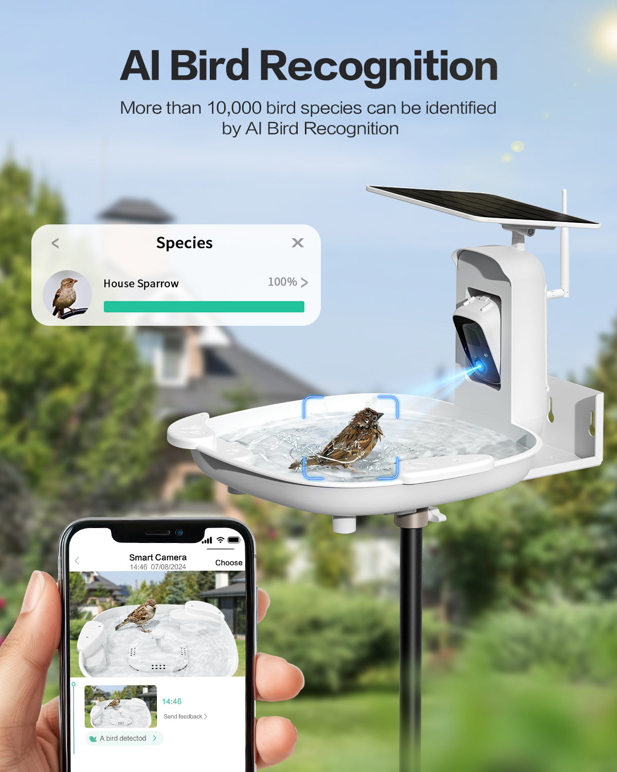 Bird Bath with Camera(BB13S)