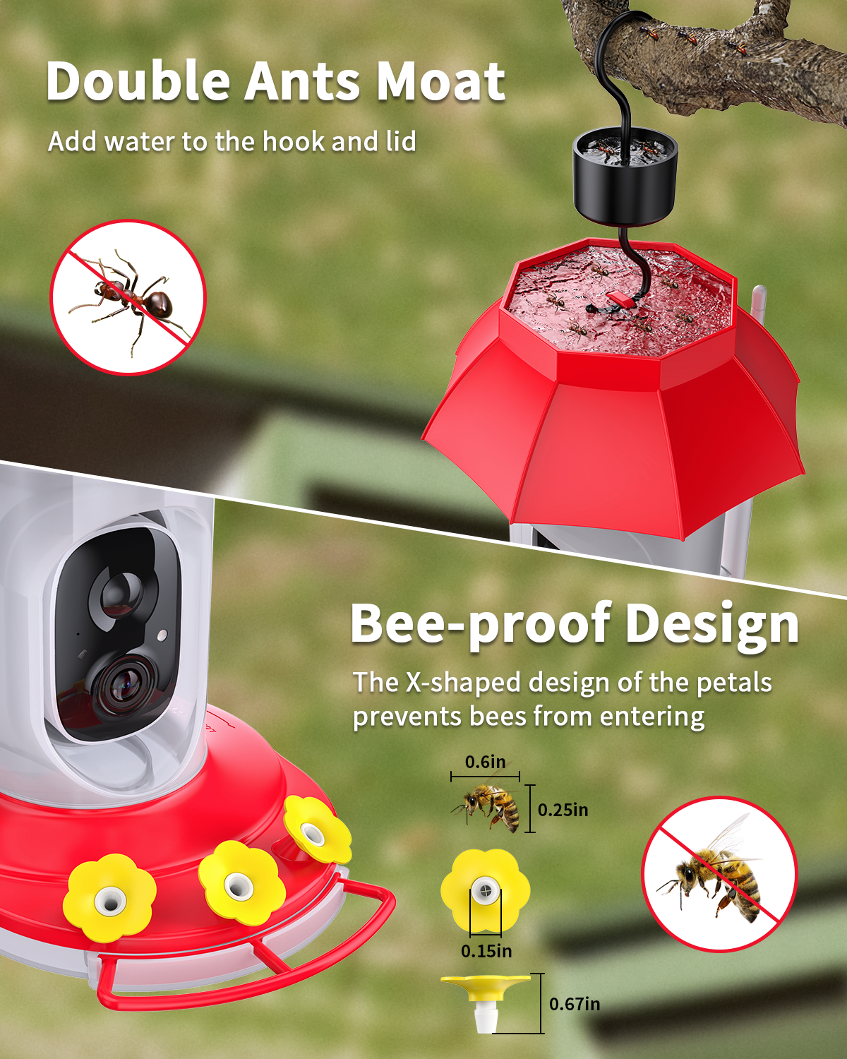 WIFI Hummingbird Feeder(BF52)