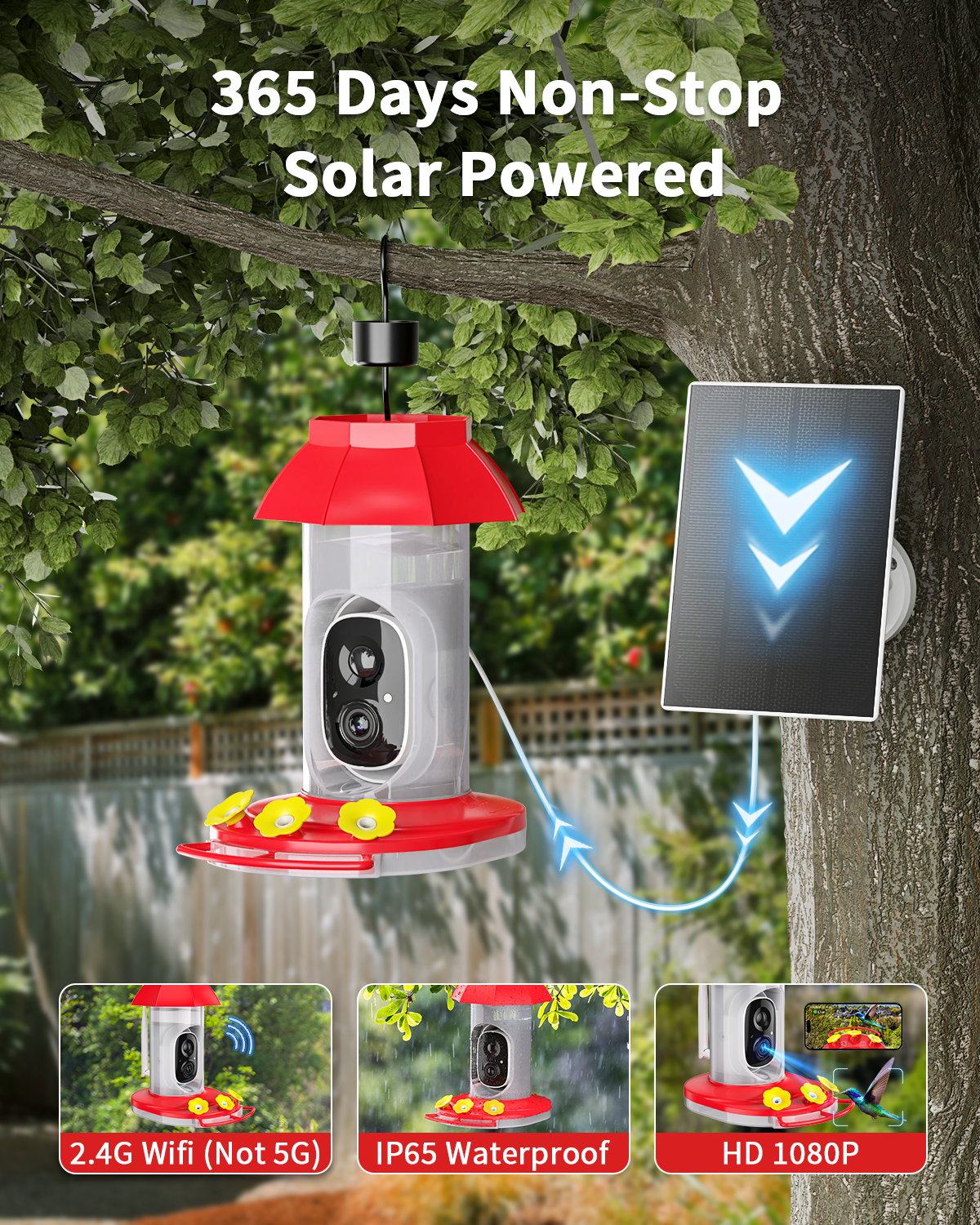 WIFI Hummingbird Feeder(BF52)