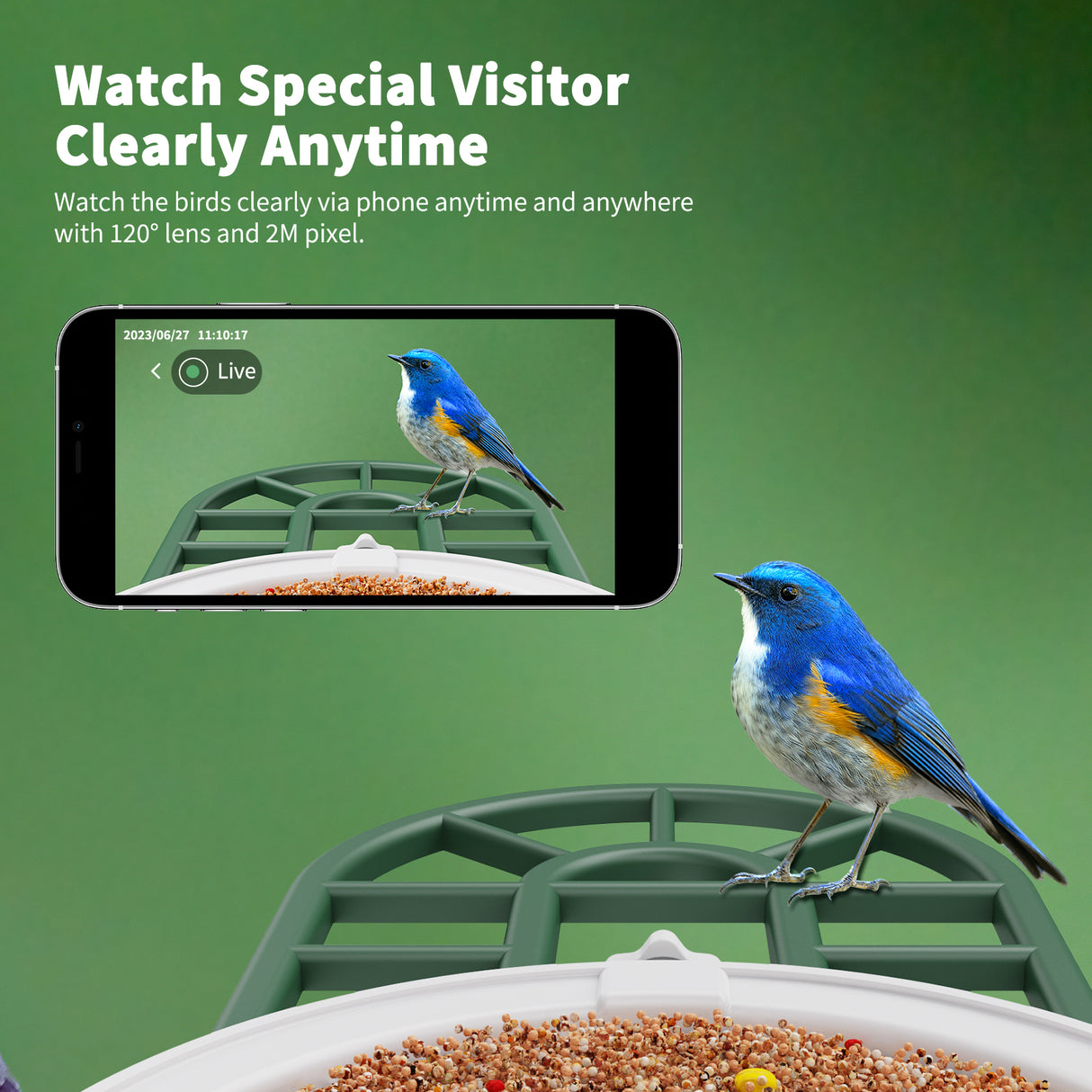 WIFI Bird Feeder Camera(BF12)