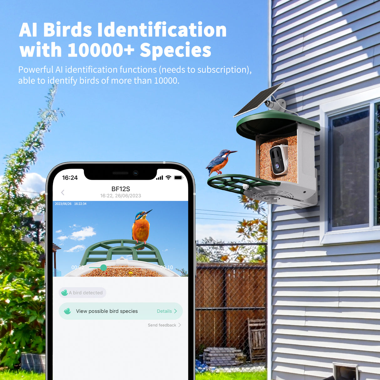 WIFI Bird Feeder Camera(BF12)