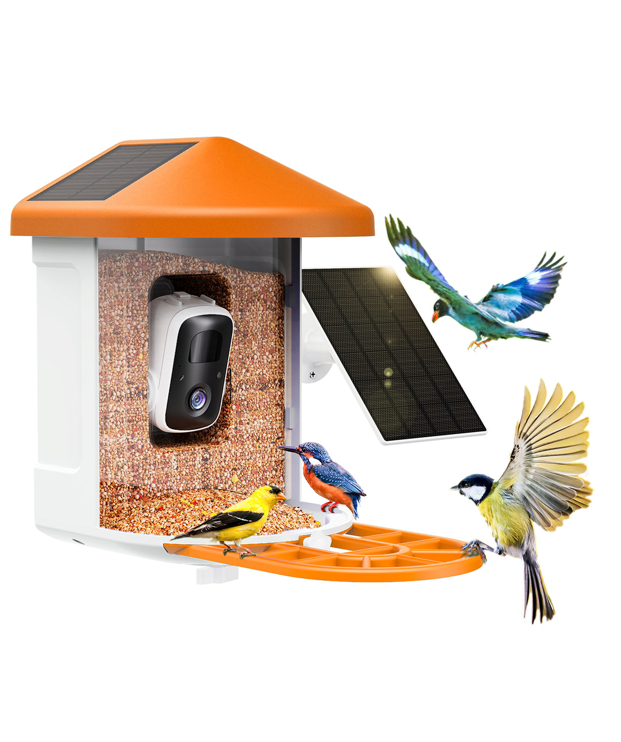 WIFI Bird Feeder Camera(BF12)