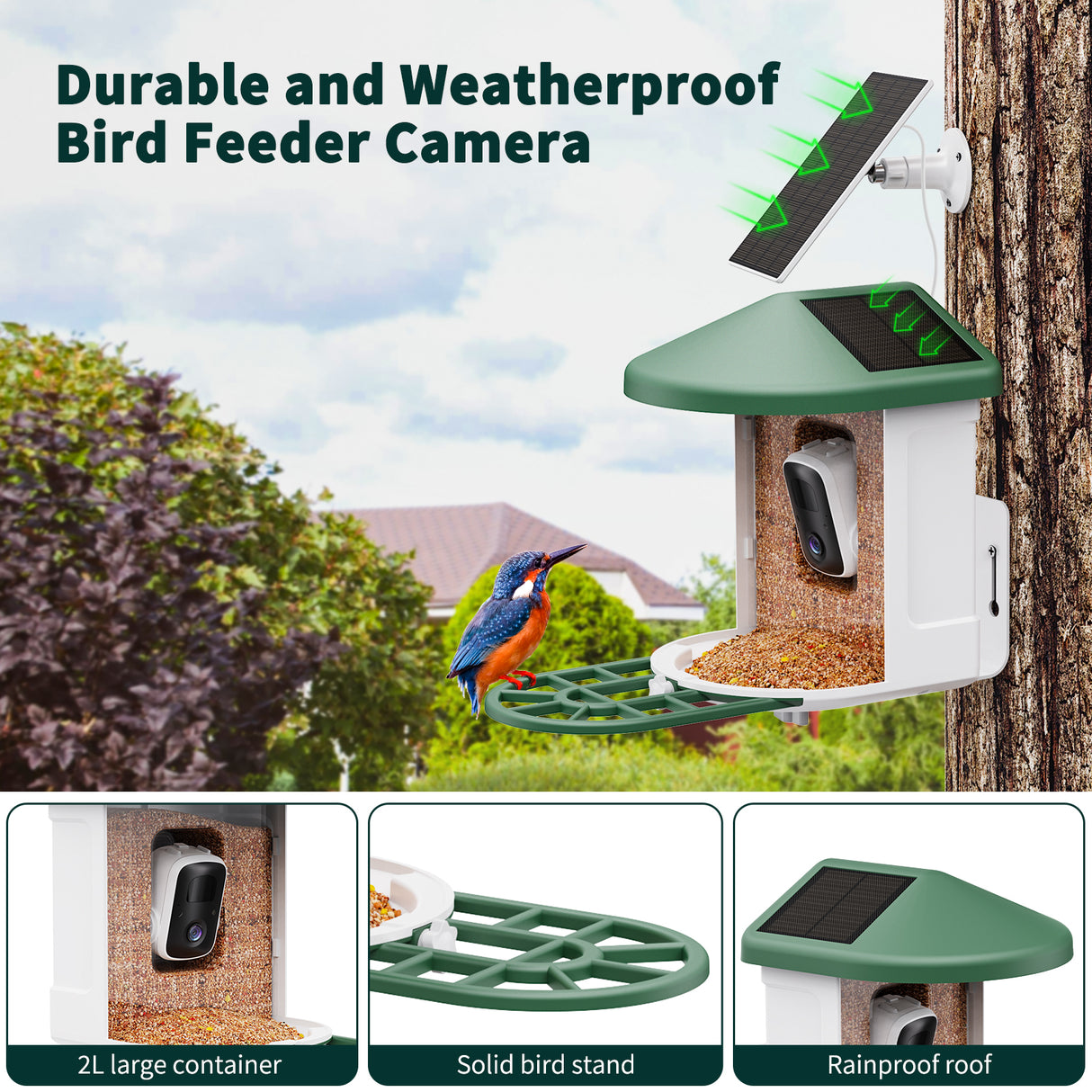 WIFI Bird Feeder Camera(BF12)