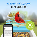 WIFI Bird Feeder Camera(BF63)