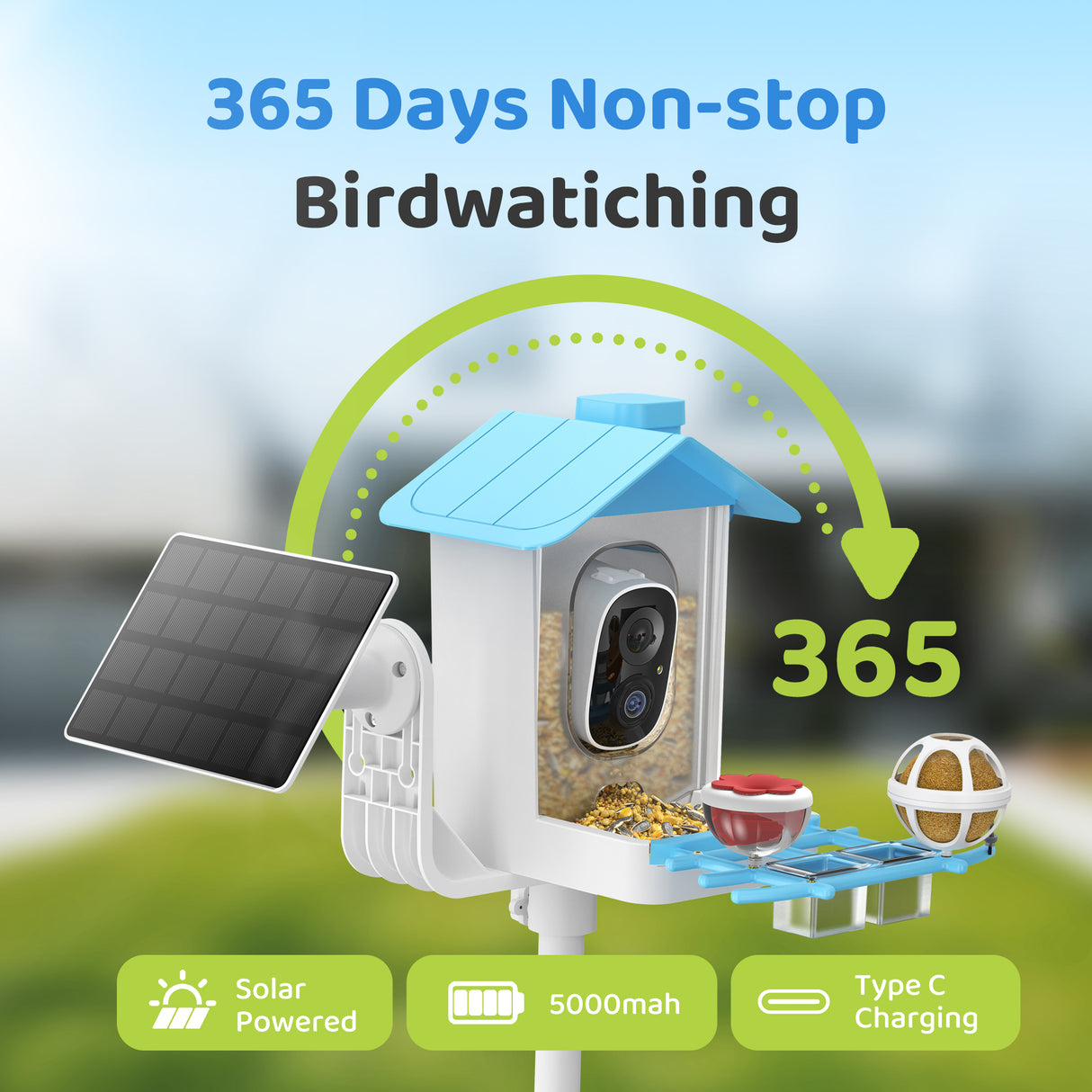 WIFI Bird Feeder Camera(BF63)