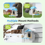 WIFI Bird Feeder Camera(BF63)