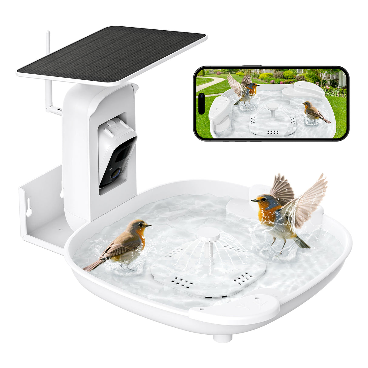 Bird Bath with Camera(BB13S)