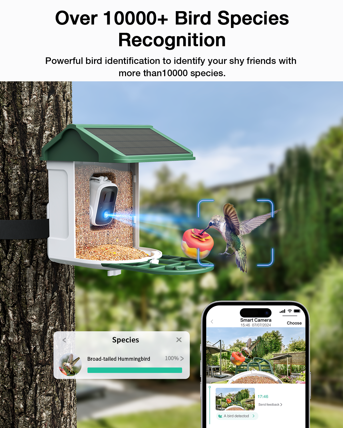 WIFI Bird Feeder Camera (BF44)