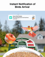 WIFI Bird Feeder Camera (BF44)