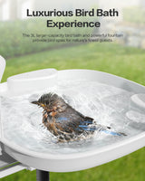Bird Bath with Camera(BB13S)