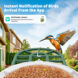WIFI Bird Feeder Camera(BF12)